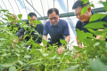 省媒看湘阴丨湖南日报：亩产5万元，樟树港辣椒“含金量”真高