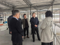 推动石英砂产业强链补链 刘世奇赴浙江韬羽新材料考察洽谈